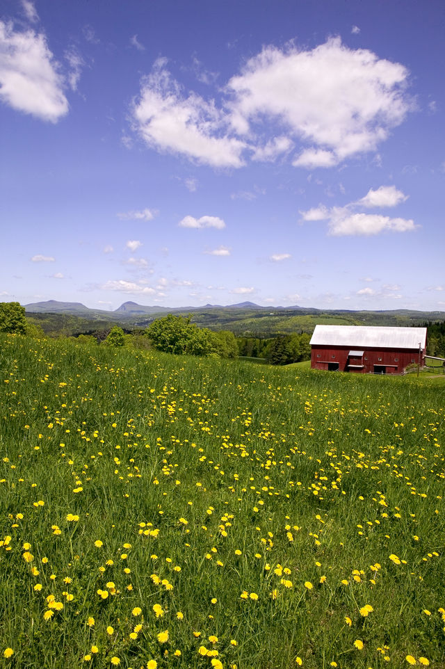 Vermont landschap Verenigde Staten