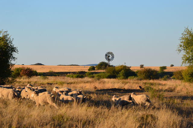 Rondreis Guesthouses in Zuid-Afrika - AmbianceTravel