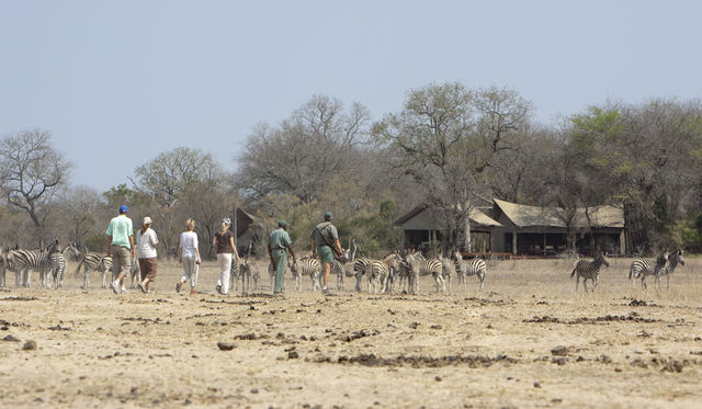 rondreis zuid-afrika Kruger Park Plains Camp Walking safari's wandelsafari