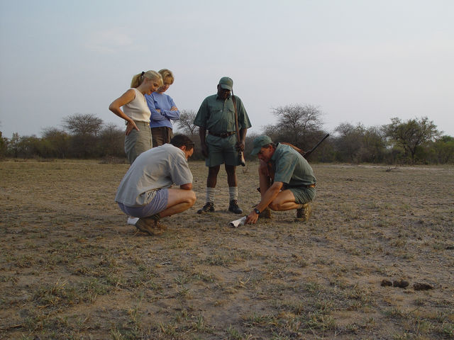 rondreis zuid-afrika wandelsafari Kruger Park Plains Camp