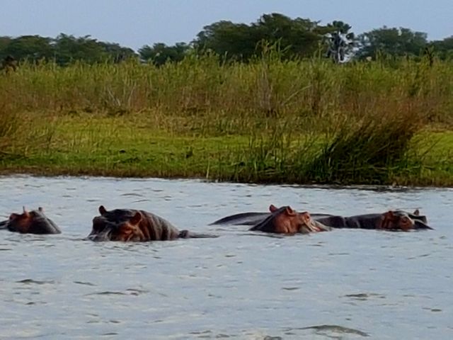 Kleurrijk Malawi: Het warme hart van Afrika (extra luxe) - AmbianceTravel