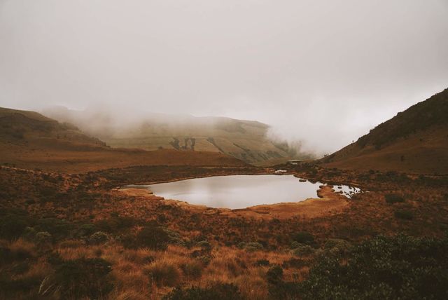 Rondreis Colombia Quindio Los Nevados National Park een meertje in de mist