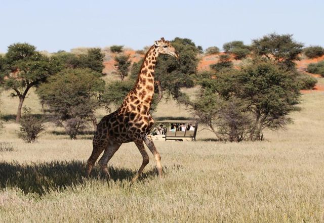 Exclusieve groepsreis magisch Namibië - AmbianceTravel