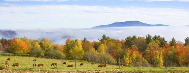 Stowe Vermont Panorama natuur
