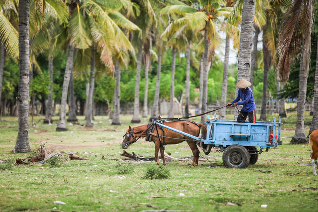 Boer Gili Trawangan Indonesië