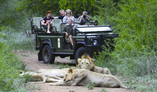 Rondreis Zuid-Afrika Amakoshi Game Reserve op safari