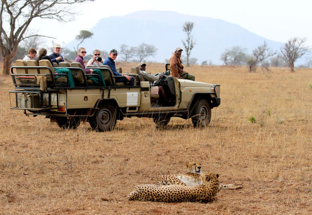 Rondreis Zuid-Afrika Amakoshi Safari Lodge