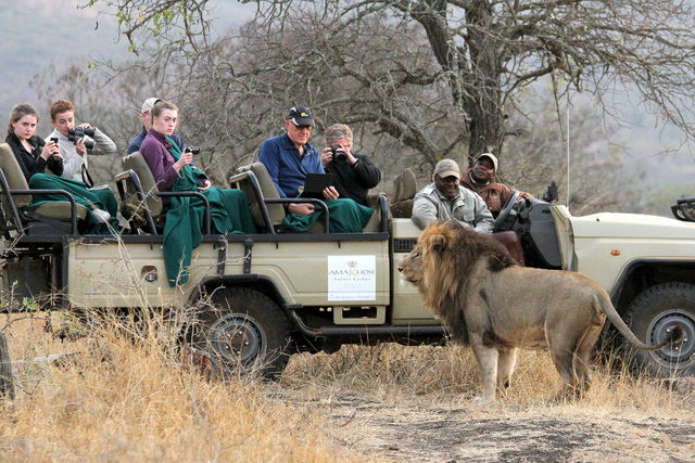 Rondreis Zuid-Afrika Amakoshi Safari Lodge