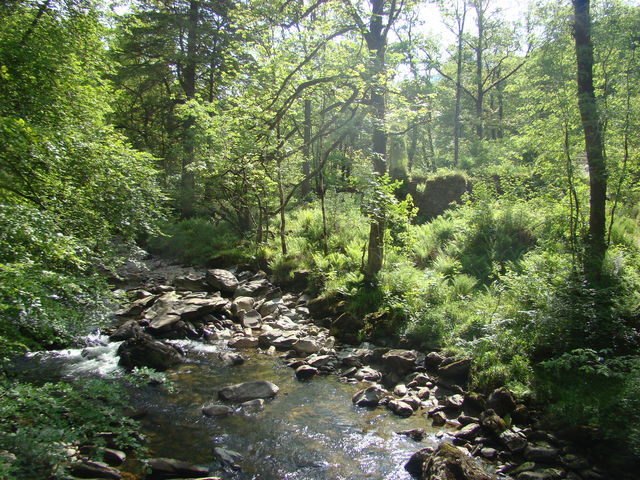 Natuur Cairndow Schotland