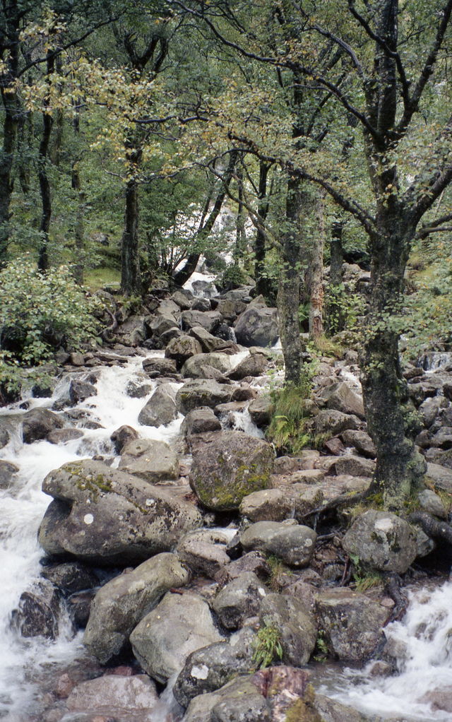 Natuur Fort William Schotland