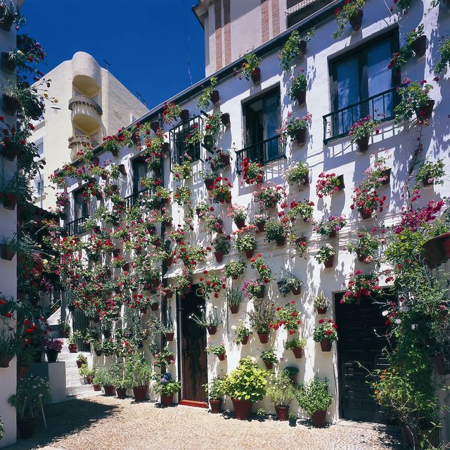 Andalusië Cordoba Patio voorgevel