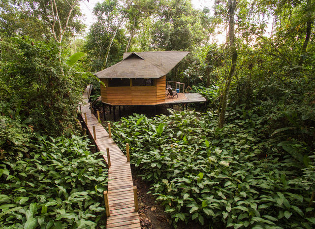 Rondreis Colombia Meta La Macarena La Manigua Lodge een cabana omringd door groen