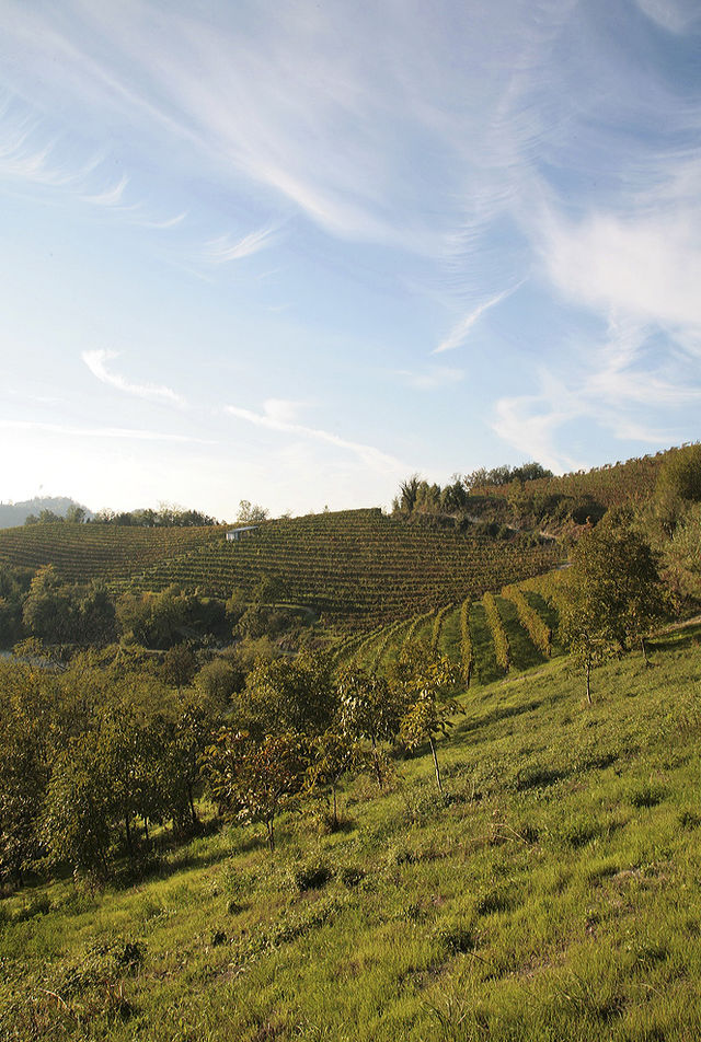 Rondreis Noord-Italië authentiek inclusief Toscane - Italië | AmbianceTravel