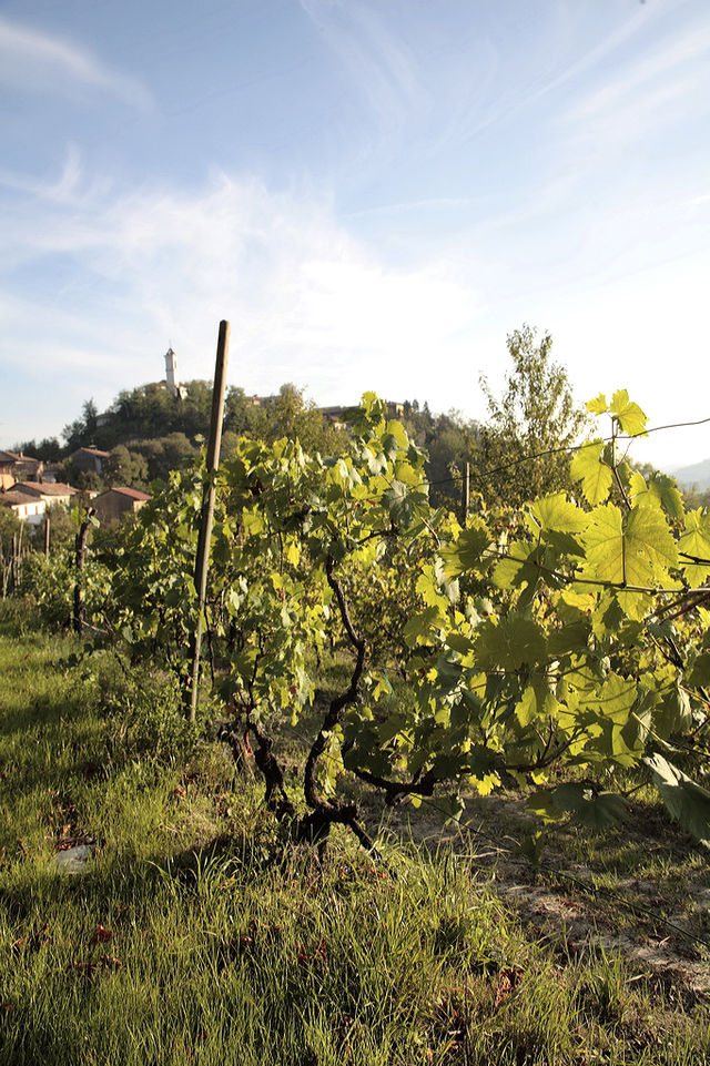 Rondreis Noord-Italië authentiek inclusief Toscane - Italië | AmbianceTravel
