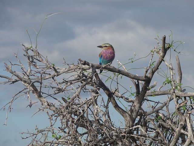 Exclusieve groepsreis magisch Namibië - AmbianceTravel