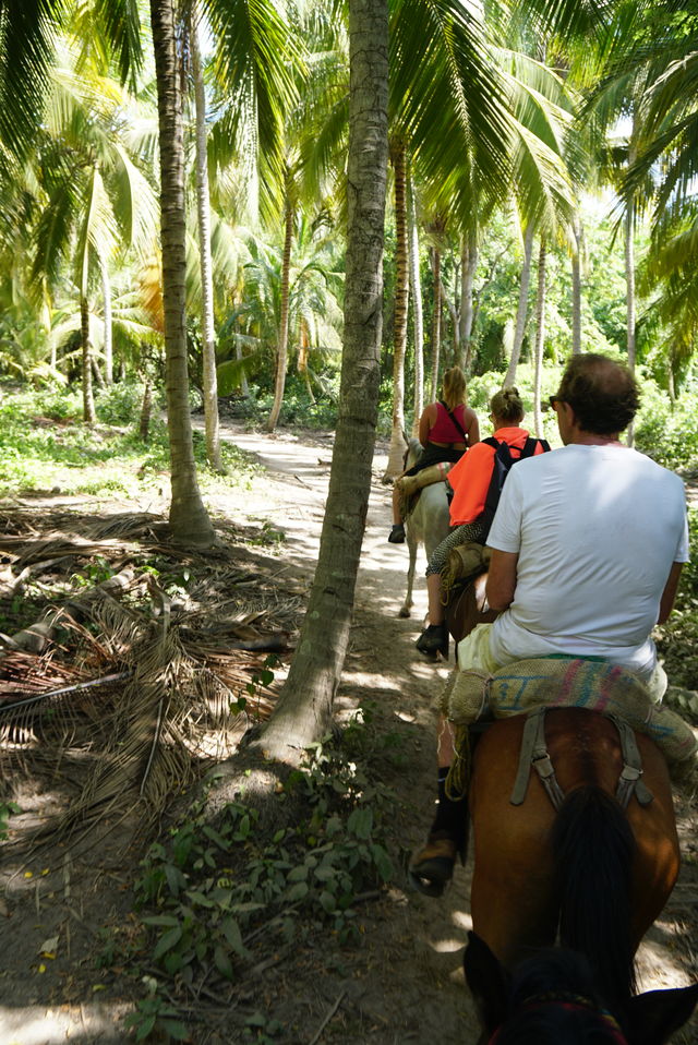 Individuele rondreis Colombia met oog voor de natuur - AmbianceTravel