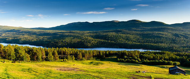 Dalseter Lillehammer Oppland Noorwegen