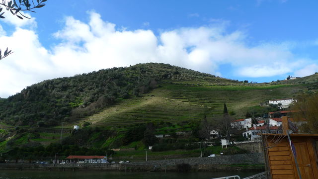 Portugal Covas de Douro vallei