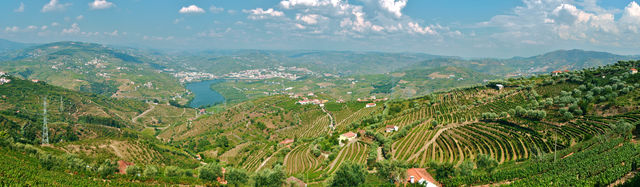 Douro Vallei Portugal