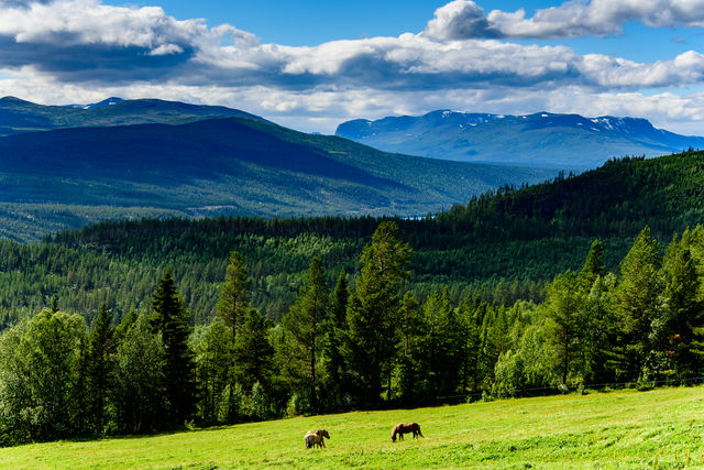 Espedalen Lillehammer Oppland Noorwegen
