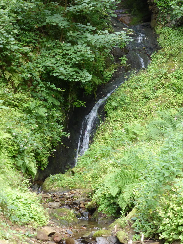 Glengoyne waterval Schotland