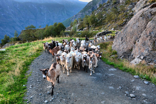 Flåm Vestland Noorwegen