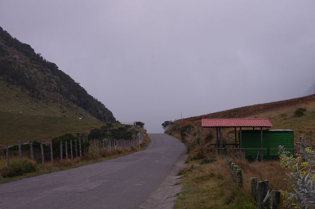 Rondreis Colombia Quindio Los Nevados National Park de weg er naar toe