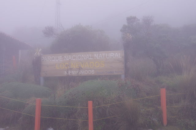 Rondreis Colombia Quindio Los Nevados National Park het park in de mist