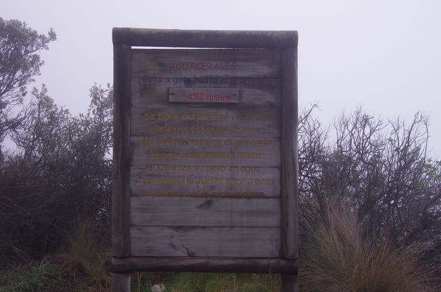 Rondreis Colombia Quindio Los Nevados National Park heeft bergen tot 5800 meter hoogte