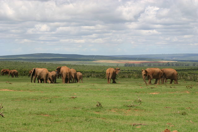 Rondreis Guesthouses in Zuid-Afrika - AmbianceTravel