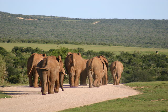 Rondreis Guesthouses in Zuid-Afrika - AmbianceTravel