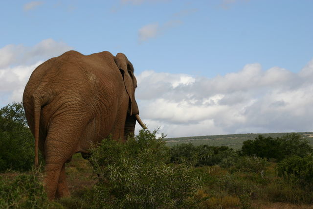 Rondreis Guesthouses in Zuid-Afrika - AmbianceTravel