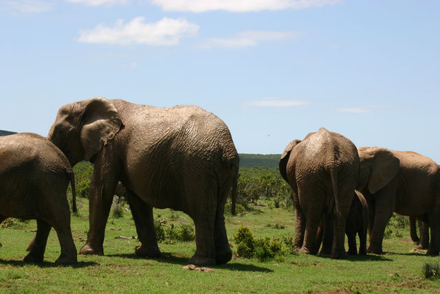 Rondreis Guesthouses in Zuid-Afrika - AmbianceTravel