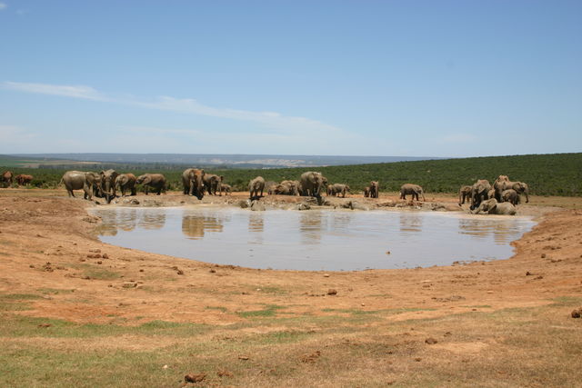 Rondreis Guesthouses in Zuid-Afrika - AmbianceTravel