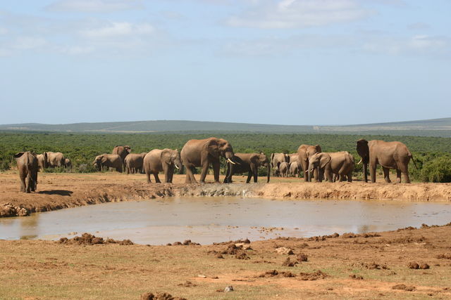 Rondreis Guesthouses in Zuid-Afrika - AmbianceTravel