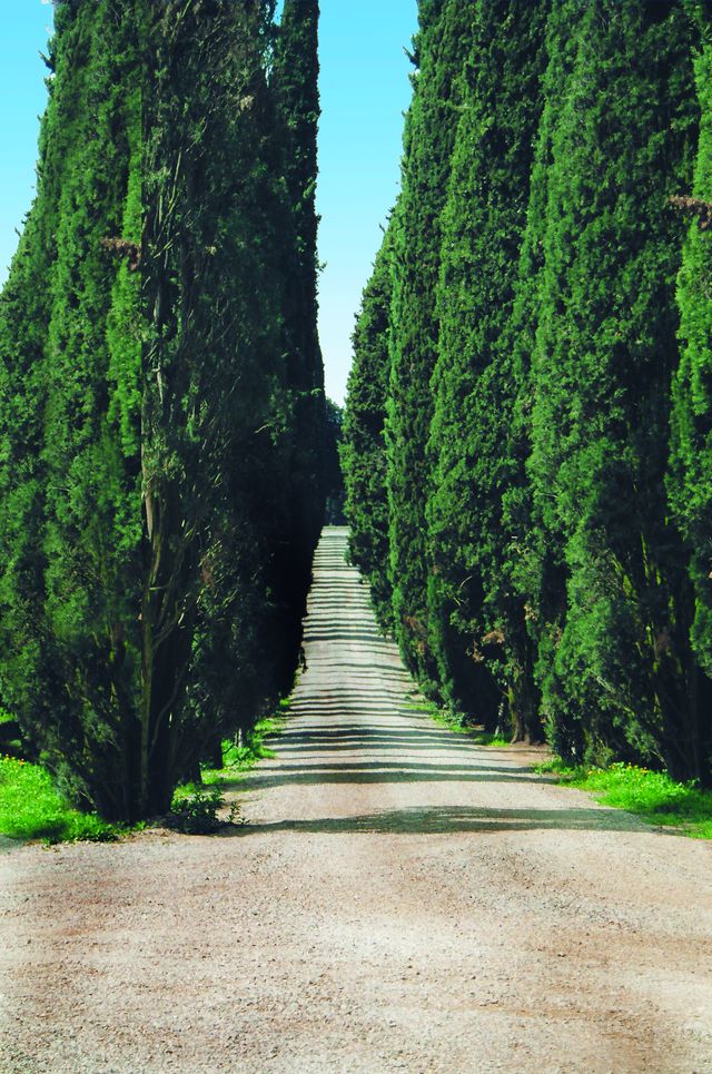 Rondreis Toscane & Elba luxe - Italië | AmbianceTravel