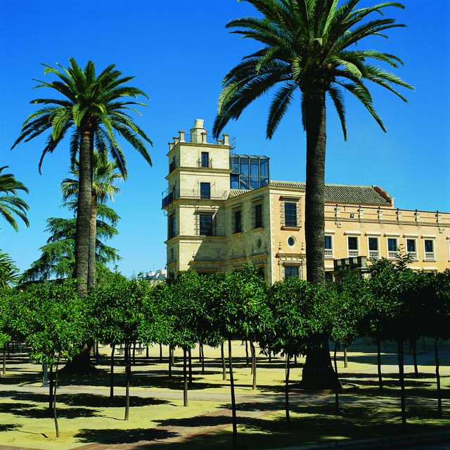 Andalusië Jerez de la Frontera Palacio