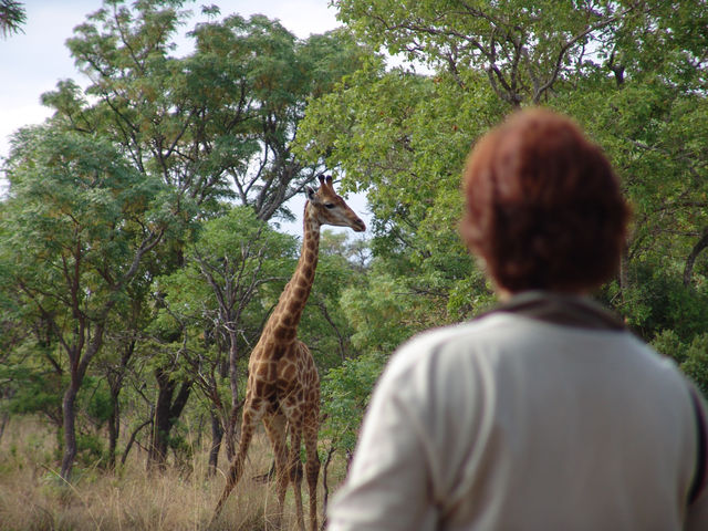 Rondreis Oosten van Zuid-Afrika - AmbianceTravel