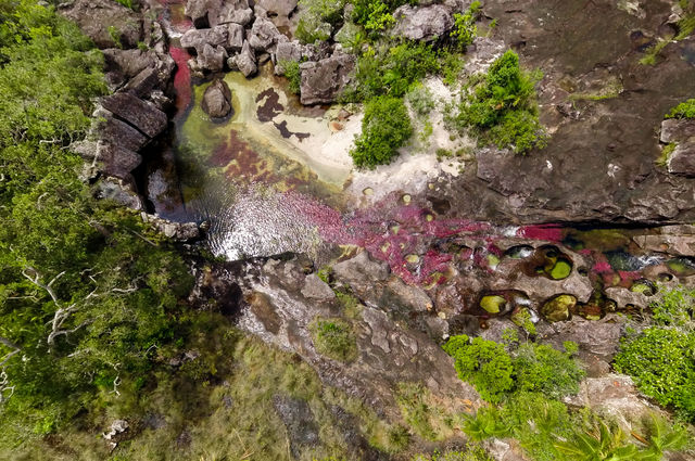 Rondreis Colombia Meta La Macarena Cano Cristales luchtfoto