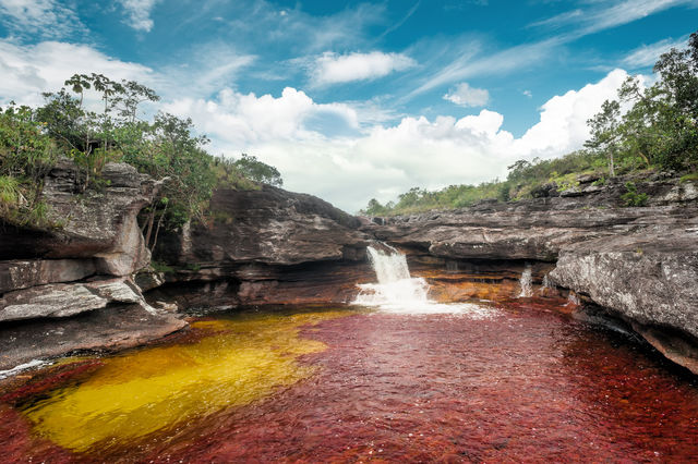 Rondreis Colombia Meta La Macarena Cano Cristales waterval met geel en rood