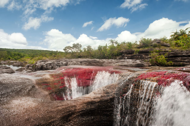 Rondreis Colombia Meta La Macarena Cano Cristales onwerkelijk landschap