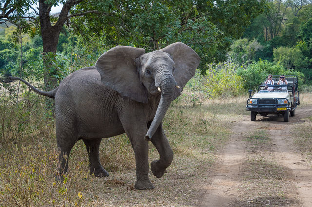 Kleurrijk Malawi: Het warme hart van Afrika (extra luxe) - AmbianceTravel