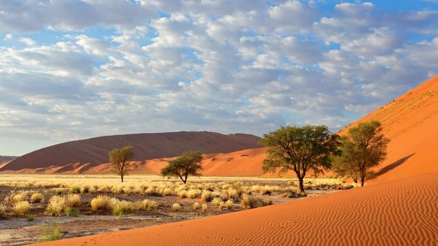 Exclusieve groepsreis magisch Namibië - AmbianceTravel