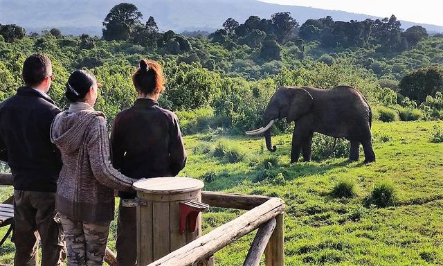 Rondreis wildparken van Tanzania- AmbianceTravel