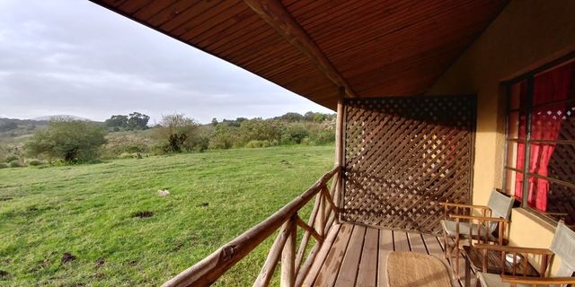 Rondreis wildparken van Tanzania- AmbianceTravel