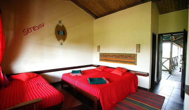 Rondreis wildparken van Tanzania- AmbianceTravel