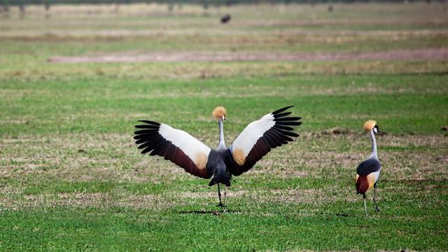 Het beste van Tanzania en Zanzibar, individueel of in een klein groep - AmbianceTravel