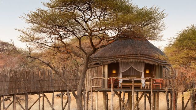 Rondreis Namibië Etosha Onguma Tree Top