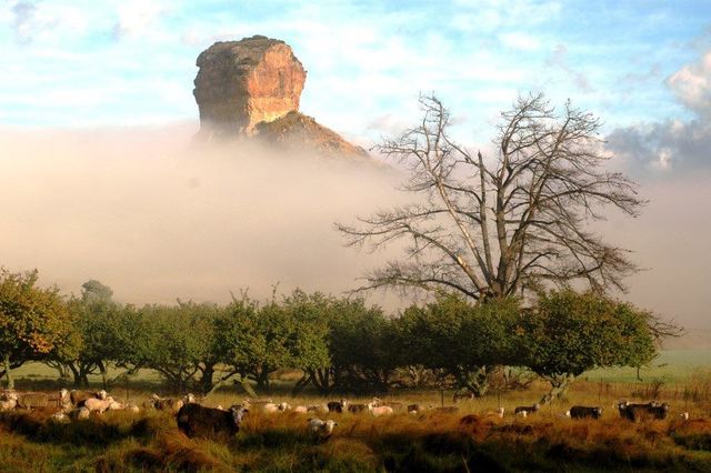 Rondreis Zuid-Afrika Clarens landschap