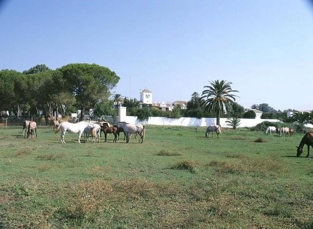 Rondreis Andalusie verblijf in hacienda's – Spanje | AmbianceTravel